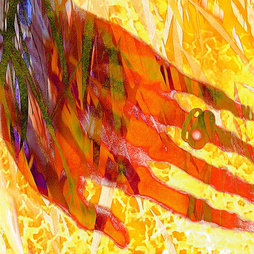 Web of Life Colour5_Image3sm